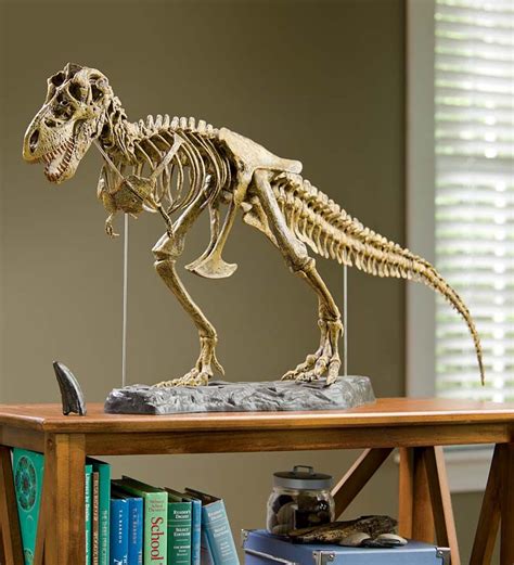 T-Rex Dinosaur Skeleton Model Kit | Fun with Science | Skeleton model, Dinosaur skeleton, Model kit