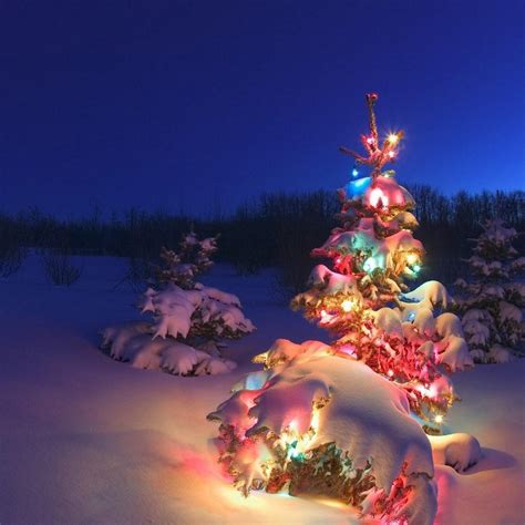 🔥 Download Christmas Night iPad Background Best Wallpaper by ...