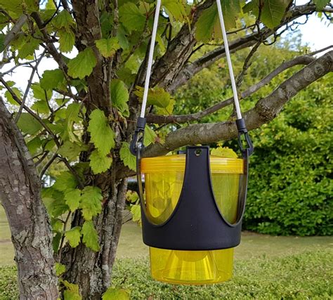 Hanging/Freestanding Wasp Trap | Wasps & Fly Control | Green Gardener