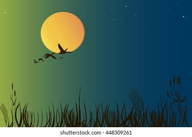 Sunset Flying Ducks Vector Stock Vector (Royalty Free) 448309261 | Shutterstock