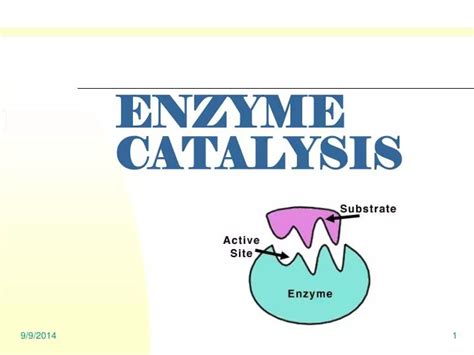 PPT - ENZYME CATALYSIS PowerPoint Presentation, free download - ID:4176592