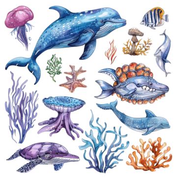 Ocean Animals Underwater Sea Cruise Set, Fairy, Tale, Underwater PNG Transparent Image and ...