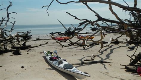 Big Talbot Island | Kayaking in Jacksonville | Amelia Island