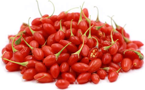 Goji Berries Information and Facts