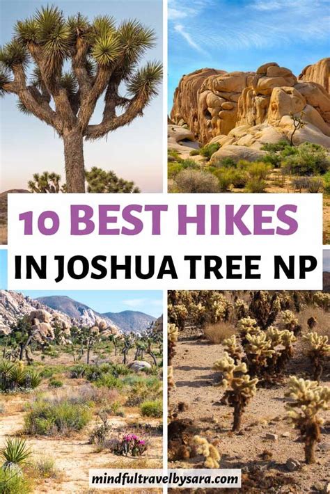 10 Best Hikes in Joshua Tree National Park not to miss