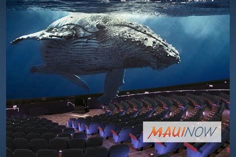 Maui Ocean Center Breaks Ground on Dome Theater Whale Exhibit : Maui Now