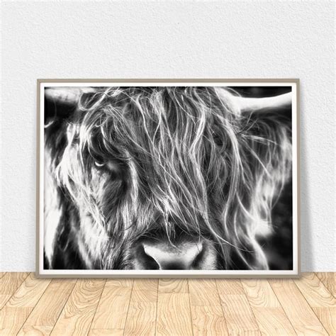 Highland Cow Print Scottish Art Modern Wall Art Black and | Etsy