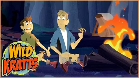 Wild Kratts S5 HD - Fire Salamander - Wild Kratts Full Episodes TV Show | Wild kratts full ...