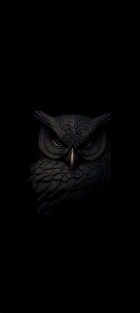 Black Owl Wallpapers - 4k, HD Black Owl Backgrounds on WallpaperBat