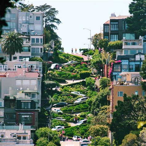 Zig Zag Road in San Francisco | Creative Travel Guide