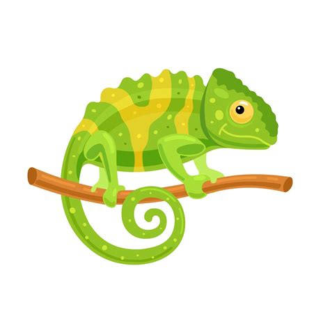 Download Funny Chameleon on a Branch - African Animal Vector Illustration