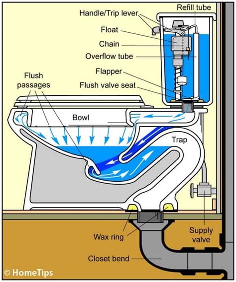 How a Toilet Works & Toilet Plumbing Diagrams | HomeTips | House ...