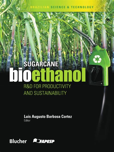 Sugarcane Bioethanol | Biofuel | Renewable Energy | Free 30-day Trial ...