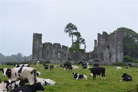 Navan, Ireland 2022: Best Places to Visit - Tripadvisor