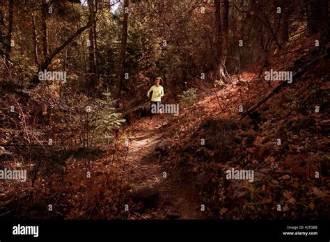 Trail running in the fall Stock Photo - Alamy