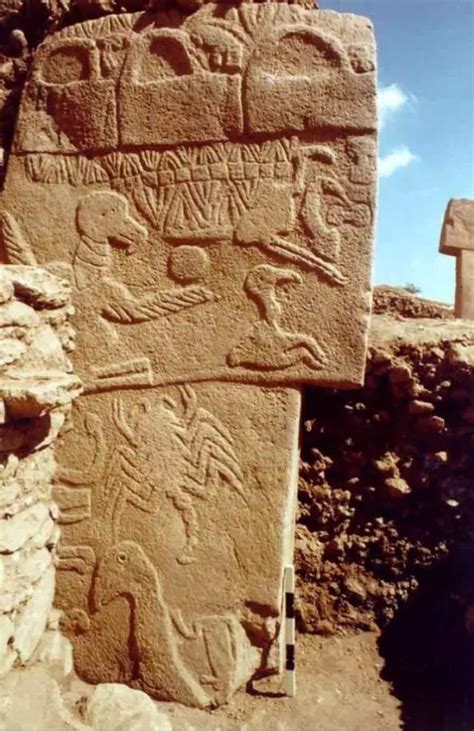 Vulture Stone (Göbekli Tepe) - Our Planet