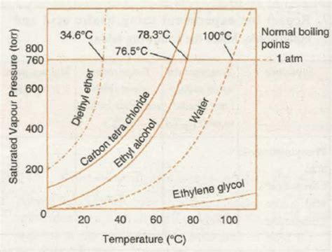 Vapour Pressure | Chemistry, Class 11, States of Matter