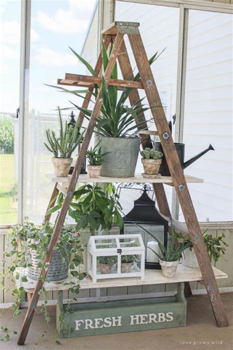 15+ Impressive Ideas to Make Wooden Ladder Garden