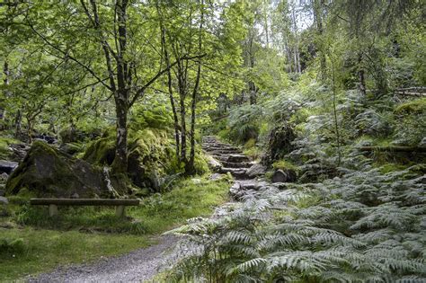 Jaunts Around Ireland: Gougane Barra Forest Park