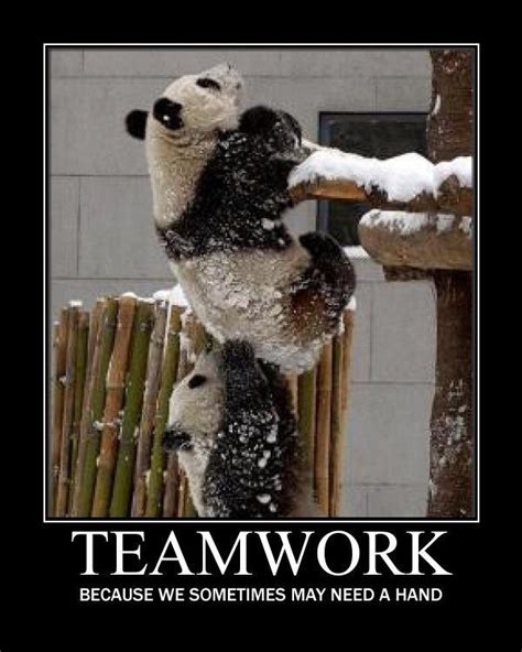Amazing Team Work Quotes Funny Check it out now | quotesenglish2