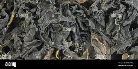 Kombu seaweed hi-res stock photography and images - Alamy