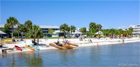 A Busy Cedar Key Beach - SeeCedarKey