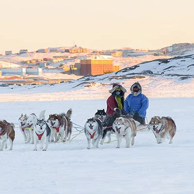 Where Did Dog Sledding Originate