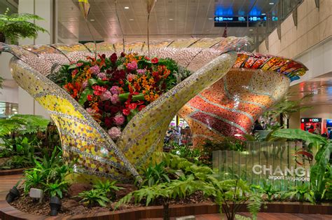 15 (Mostly) Free Things to Do at Changi Airport | Travel Insider