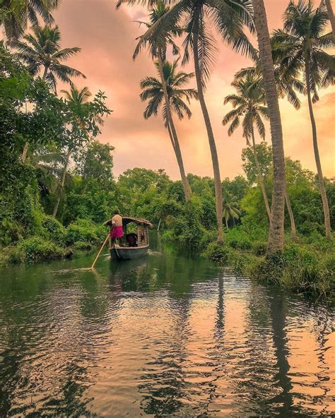 #kerala #keralablogexpress #palmtrees #coconuttree #backwaters #southindia #keralatourism # ...