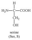 Serine Structure