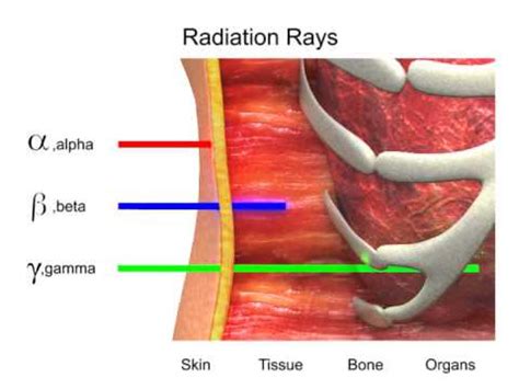 Describe Alpha Beta and Gamma Radiation