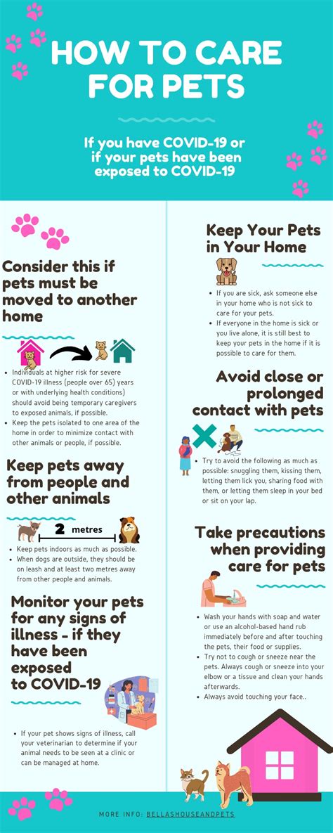 How to Care for Pets #Infographic - Visualistan