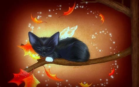 Halloween Black Cats Wallpapers - Wallpaper Cave