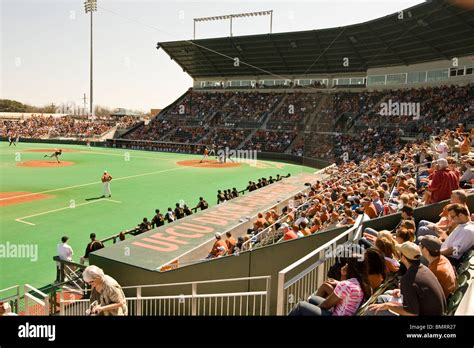 College baseball game at the University of Texas stadium in Austin ...