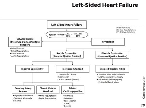 Differential Diagnosis Of CHF