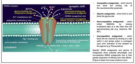 Nmda Antagonist How It Works