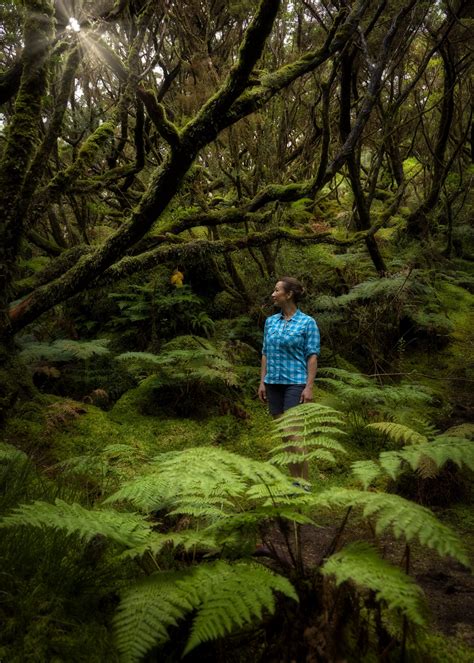 HIKING TOUR – Azores Expeditions