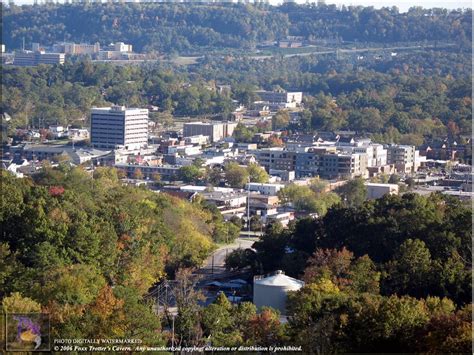 Homewood, Alabama | House in the woods, Sweet home alabama, Places