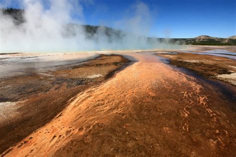 Geysers in Yellowstone stock photo. Image of natural - 37181416