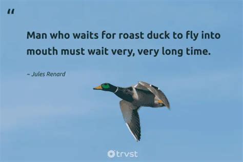 42 Duck Quotes And Sayings About The Friendly Waterfowls (2024)