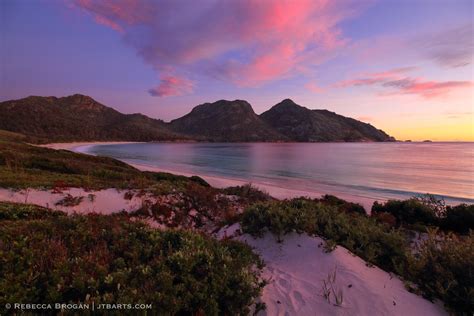 Wombat Tracks on Wineglass Bay (Freycinet Peninsula Circuit, Freycinet National Park) – John The ...