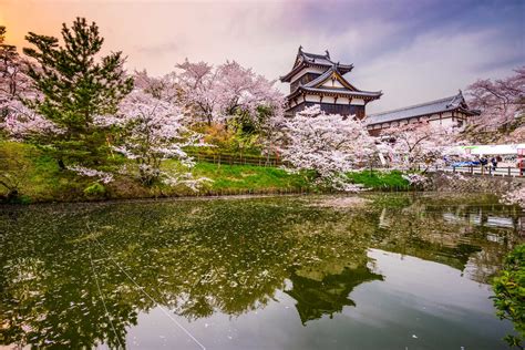 The 17 Best Things to Do in Kyoto, Japan | The Planet D