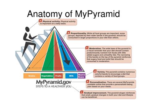 PPT - Planning A Healthy Diet PowerPoint Presentation, free download ...