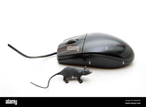 Black computer mouse Stock Photo - Alamy