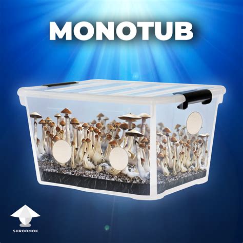 MonoTub gallery on Shroomok