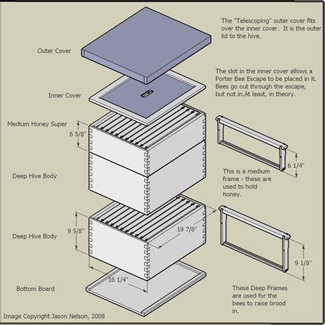 How to Make a Beehive — Info You Should Know