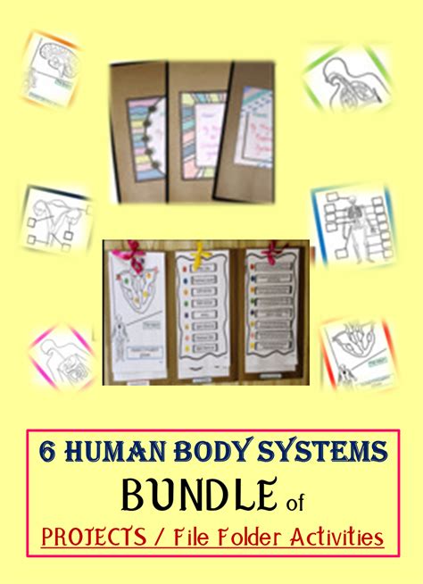 6 Human Body Systems | Projects | File Folder Activities | Bundle Human Body Systems Activities ...