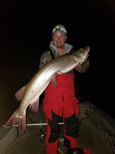 Big muskie caught on Lake X in City x, MN on 9/28/2016 | MuskieFIRST