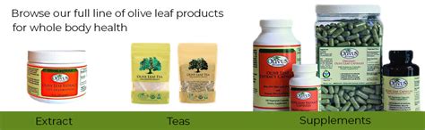 Amazon.com : Olive Leaf Tea - Certified Organic - Non-GMO Herbal Tea ...