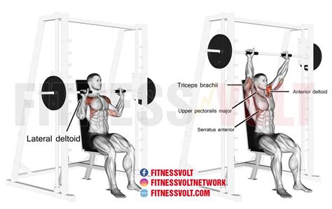 Smith Machine Seated Overhead Press (Shoulders) – Fitness Volt